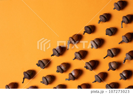 Many brown acorns with caps on over orange color Many brown acorns with caps on over orange color 107273023