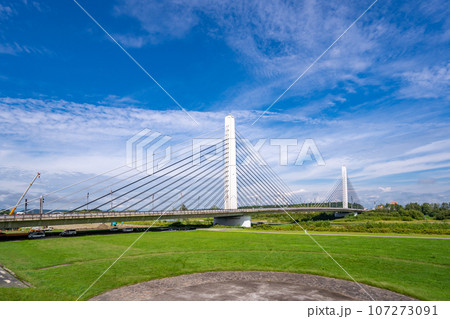 十勝大橋 十勝大橋 107273091