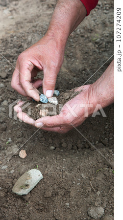 Male hands choose stones from the ground 107274209