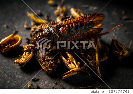 Fried edible insects. Crickets as snack, good source of protein. Entomophagy, insectivory concept. Close up view. Generative AI. 107274741