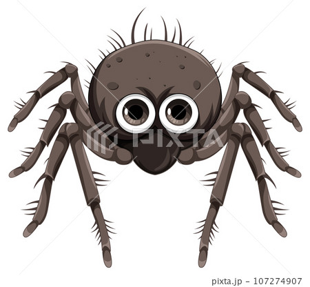 Black spider cartoon isolated 107274907