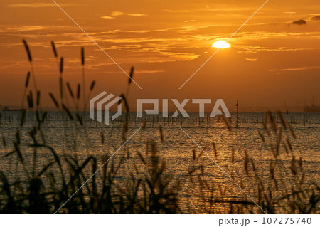 江川海岸からのダイヤモンド富士 木更津市 江川海岸からのダイヤモンド富士 木更津市 107275740