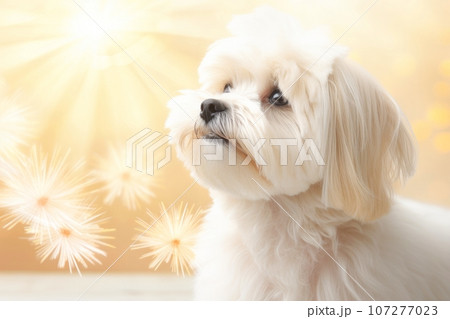 Close-up of cute dog with beautiful bokeh background, Generative AI illustration 107277023
