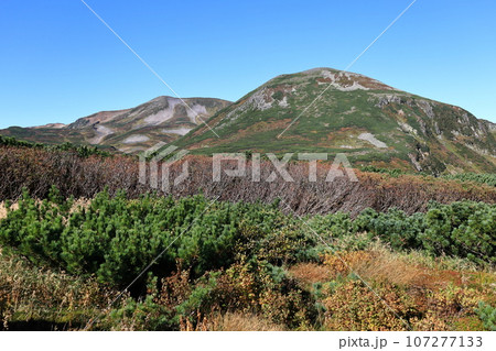 秋の北海道　大雪山　黒岳石室付近より　北鎮岳　凌雲岳を望む 107277133