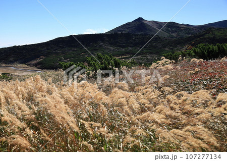 秋の北海道　大雪山　黒岳石室付近より　烏帽子岳を望む 107277134