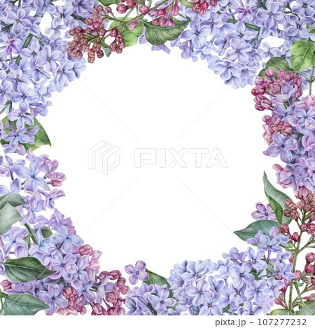 Square frame with purple lilac flowers. Watercolor botanical illustration. Hand drawn clipart isolated on a white background. Empty space for text. Copy space. Card template in floral style 107277232