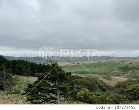 最北端の風車 107279455