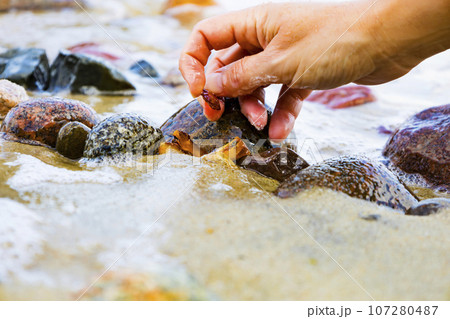 Beautiful pieces of amber in the hand of the sea background. A glowing wavy piece of amber in the palm of your hand. The sunstone. Beautiful pieces of amber in the hand of the sea background. A glowing wavy piece of amber in the palm of your hand. The sunstone. 107280487