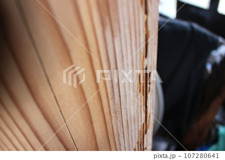 白蟻に食われた柱 107280641