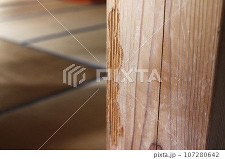 白蟻に食われた柱 107280642