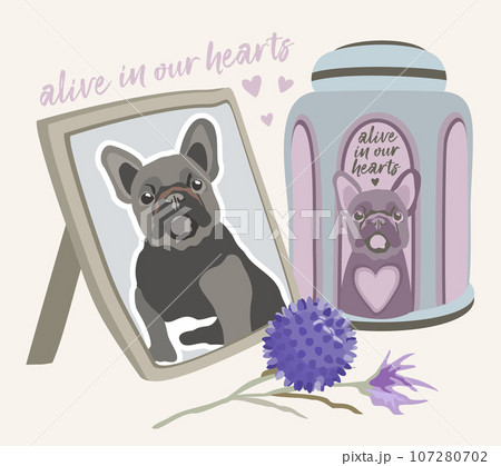 Pet cremation. Photo of lovely dog, cremation urn, toy ball and flower. Vector isolated illustration with lettering. Pet cremation. Photo of lovely dog, cremation urn, toy ball and flower. Vector isolated illustration with lettering. 107280702