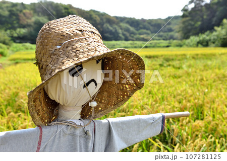 稲刈りまじかの田んぼに立つ案山子 稲刈りまじかの田んぼに立つ案山子 107281125
