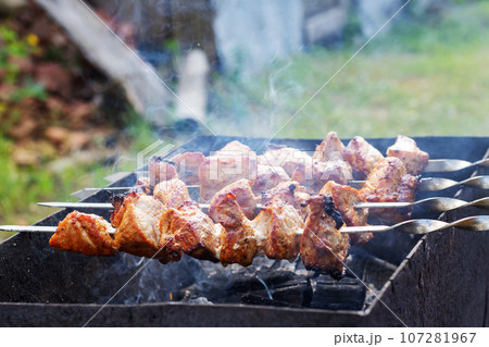 Shish kebab on skewers and barbecue closeup 107281967