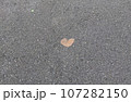 写真素材:ハートの葉 107282150
