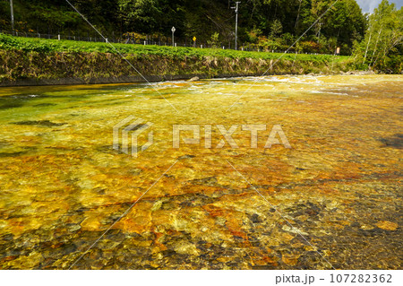 北湯沢温泉長流川・白絹の床（緑色凝灰岩） 107282362