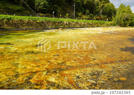 北湯沢温泉長流川・白絹の床(緑色凝灰岩) 北湯沢温泉長流川・白絹の床(緑色凝灰岩) 107282365