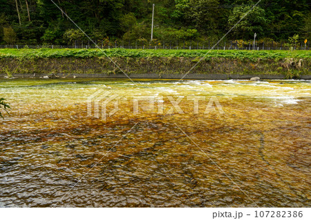 北湯沢温泉長流川・白絹の床(緑色凝灰岩) 北湯沢温泉長流川・白絹の床(緑色凝灰岩) 107282386