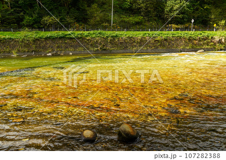 北湯沢温泉長流川・白絹の床（緑色凝灰岩） 107282388