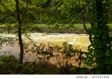 北湯沢温泉長流川・白絹の床(緑色凝灰岩) 北湯沢温泉長流川・白絹の床(緑色凝灰岩) 107282398