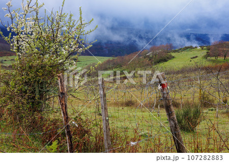 Landscape after the rain near the "Riserva Naturale Orientata Bosco di Malabotta" on the island of Sicily Landscape after the rain near the "Riserva Naturale Orientata Bosco di Malabotta" on the island of Sicily 107282883