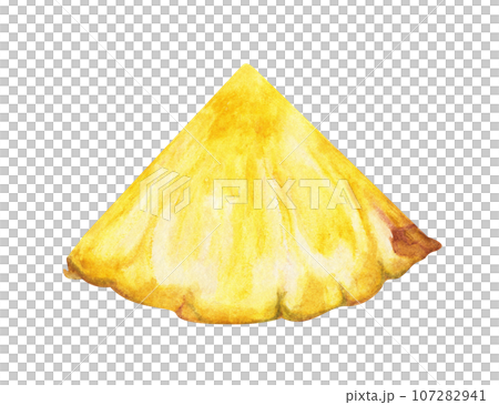 Watercolor painting of Slices of pineapple. 107282941
