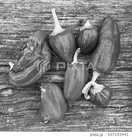 Photo on theme long dark hot chili pepper 107283441