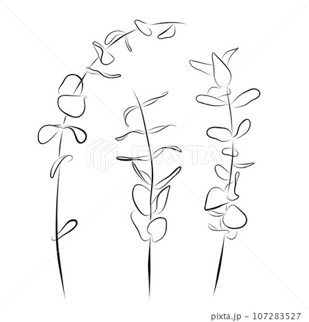 Continuous drawing. line art set of eucalyptus cineria sprigs 107283527