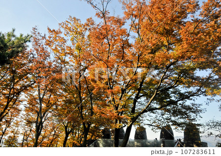 Korean Traditional old city wall with Aurumn leaves foliage in Namsan Mountain in Seoul South Korea Korean Traditional old city wall with Aurumn leaves foliage in Namsan Mountain in Seoul South Korea 107283611