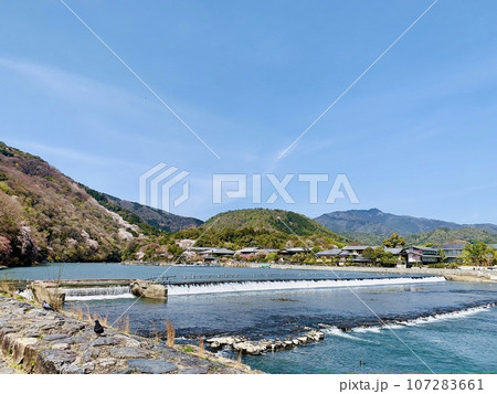 春の嵐山〈嵐山公園中之島地区/京都府京都市〉 107283661