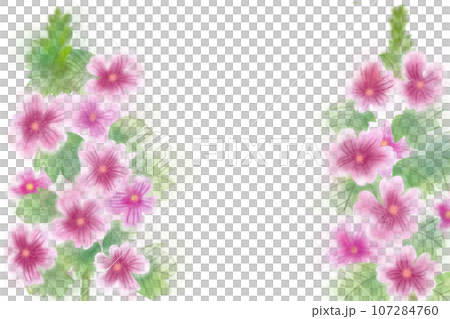 銭葵（ゼニアオイ）の花のカード2 107284760
