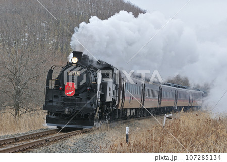 釧網本線 遠矢ー釧路湿原 C11-171(釧路) SL冬の湿原号 釧網本線 遠矢ー釧路湿原 C11-171(釧路) SL冬の湿原号 107285134