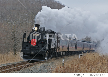 釧網本線　遠矢ー釧路湿原　C11-171（釧路）　SL冬の湿原号 107285136