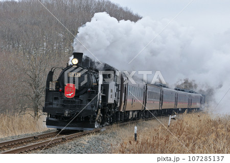 釧網本線　遠矢ー釧路湿原　C11-171（釧路）　SL冬の湿原号 107285137
