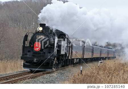 釧網本線 遠矢ー釧路湿原 C11-171(釧路) SL冬の湿原号 釧網本線 遠矢ー釧路湿原 C11-171(釧路) SL冬の湿原号 107285140