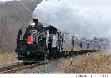 釧網本線　遠矢ー釧路湿原　C11-171（釧路）　SL冬の湿原号 107285141
