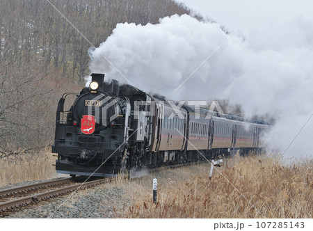 釧網本線 遠矢ー釧路湿原 C11-171(釧路) SL冬の湿原号 釧網本線 遠矢ー釧路湿原 C11-171(釧路) SL冬の湿原号 107285143