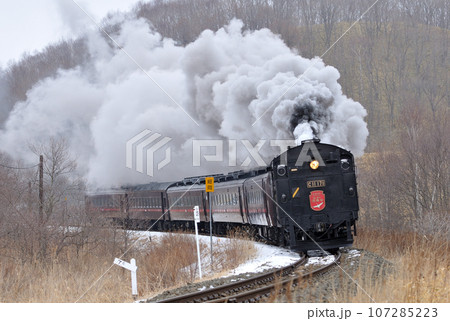 釧網本線 細岡ー釧路湿原 C11-171(釧路) SL冬の湿原号 釧網本線 細岡ー釧路湿原 C11-171(釧路) SL冬の湿原号 107285223