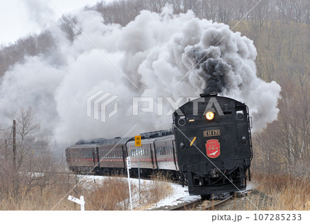 釧網本線 細岡ー釧路湿原 C11-171(釧路) SL冬の湿原号 釧網本線 細岡ー釧路湿原 C11-171(釧路) SL冬の湿原号 107285233