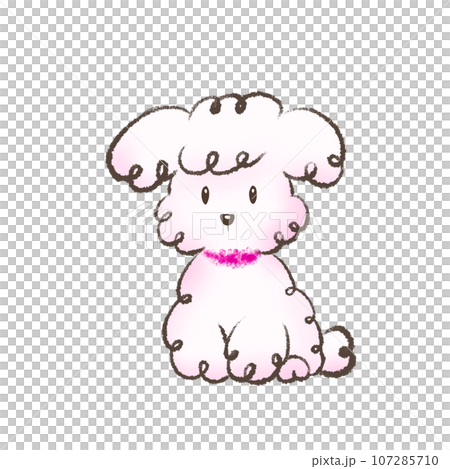 Illustration of a cute toy poodle Illustration of a cute toy poodle 107285710