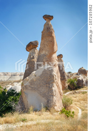 Unique geological rock formations Fairy Chimneys in Cappadocia. Popular touristic area in Turkey 107285982