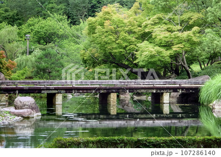 滋賀県大津市 びわこ文化公園 夕照の庭 滋賀県大津市 びわこ文化公園 夕照の庭 107286140