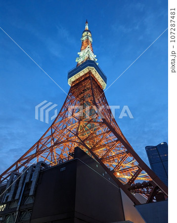東京タワー 東京タワー 107287481