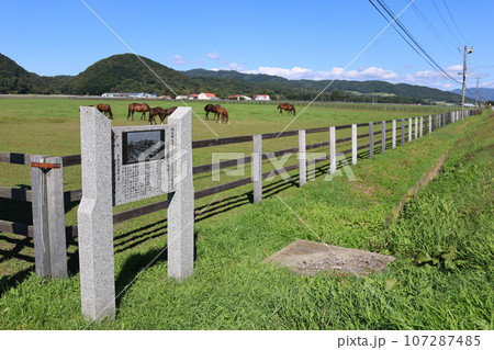 【動画あり】北海道の牧場風景・新冠牧馬場跡・サラブレッド 【動画あり】北海道の牧場風景・新冠牧馬場跡・サラブレッド 107287485