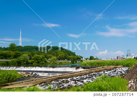広瀬川（郡山堰）【宮城県仙台市】 107287714