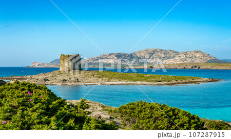 Amazing view of the Pelosa beach with the island of Asinara in the background, Stintino, Sardinia. 107287915
