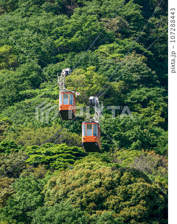 行き交うロープウェイ 行き交うロープウェイ 107288443
