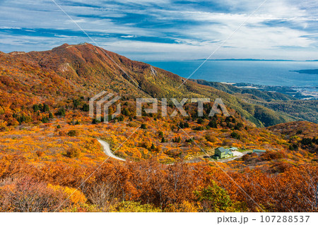 【新潟県・佐渡・紅葉】紅葉を見ながら新潟県を一望しよう 10月 【新潟県・佐渡・紅葉】紅葉を見ながら新潟県を一望しよう 10月 107288537