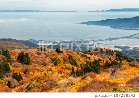 【新潟県・佐渡・紅葉】紅葉を見ながら新潟県を一望しよう 10月 【新潟県・佐渡・紅葉】紅葉を見ながら新潟県を一望しよう 10月 107288542
