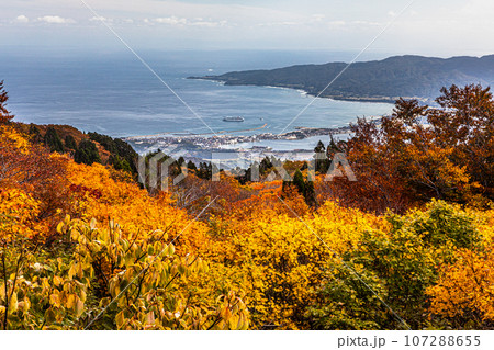 【新潟県･佐渡･紅葉】紅葉を見ながら佐渡島を一望しよう 10月 107288655