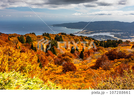 【新潟県･佐渡･紅葉】紅葉を見ながら佐渡島を一望しよう 10月 107288661